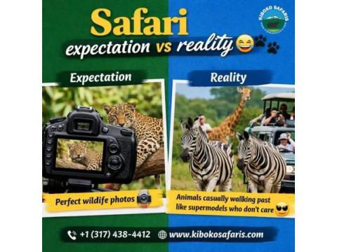 Affordable & Luxury Tanzania Safari Packages – Al Rayyan