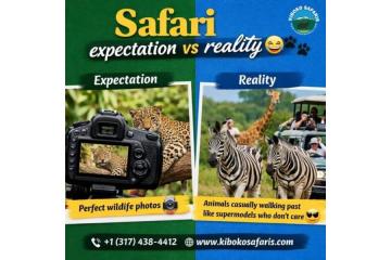 Affordable & Luxury Tanzania Safari Packages – Al Rayyan