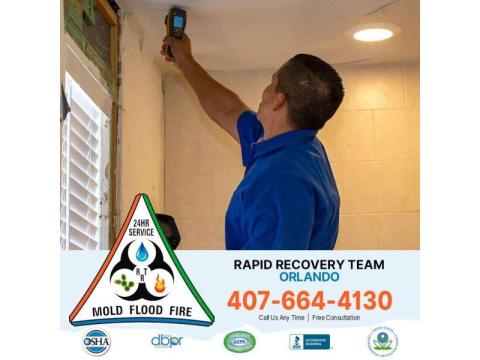 Fast & Safe Mold Cleanup You Can Trust