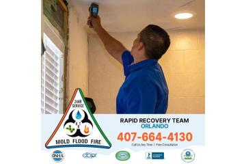 Fast & Safe Mold Cleanup You Can Trust