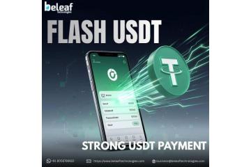 From Wallet to Worldwide Build a Strong USDT Payment 