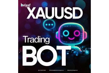 Power Your Portfolio with XAUUSD Gold Trades