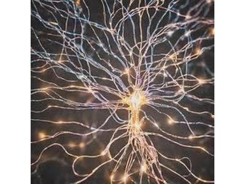 What is BWRT therapy and how does it work?