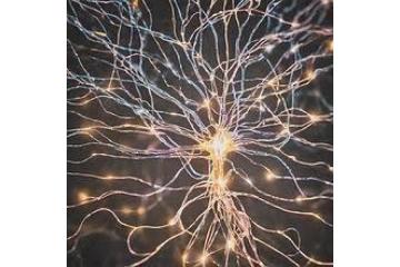 What is BWRT therapy and how does it work?