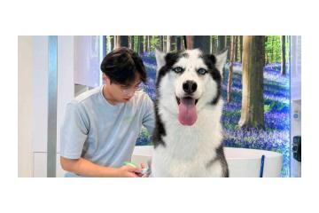 Best Local Dog Grooming Bookings Packages in the USA