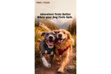 Pet first aid kit for dogs