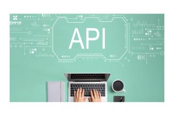 API Integration Services Singapore - Exiga Software