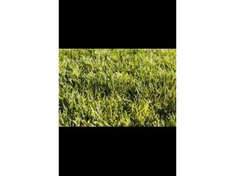 Why Synthetic Grass Perth is a Smart Choice