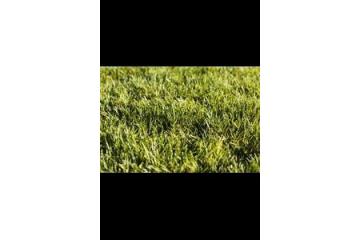 Why Synthetic Grass Perth is a Smart Choice