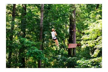 Top Fiji Zipline Tour Fly Over Rainforest & Stunning Island Views
