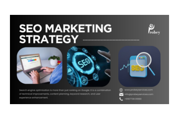 Drive Organic Traffic with SEO Company in Mumbai - Probey Services