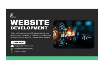 Get Modern Website Design in Kolkata with Probey Services