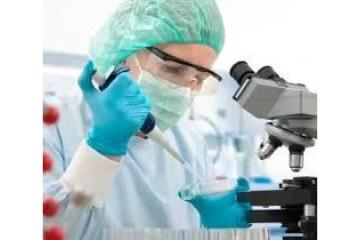 Expert Recruitment Life Sciences Solutions | The Bandish Group