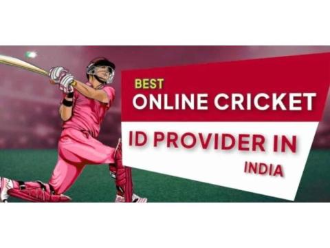 What Is Cricket ID Online and How Does It Work?