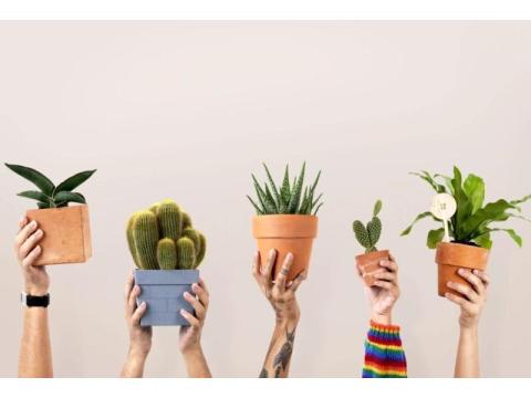 Transform Your Outdoor Space – Expert Garden Design Services