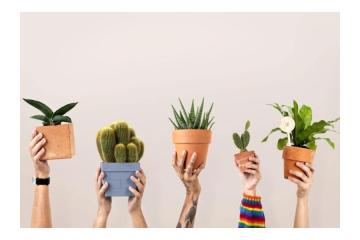 Transform Your Outdoor Space – Expert Garden Design Services