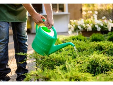 Transform Your Garden – Expert Gardening Services Near You