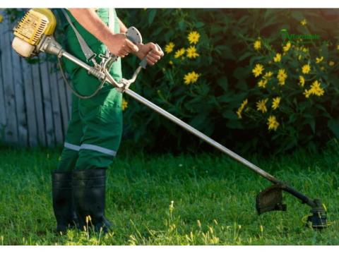 Perfect Lawns Every Time – Expert Lawn Mowing & Care