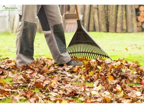 Fresh Start for Your Home with Professional Spring Cleaning