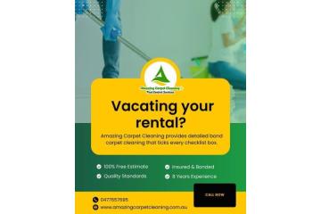 Trusted Carpet Cleaning Experts in North Brisbane – Best Carpet Cleaning Services