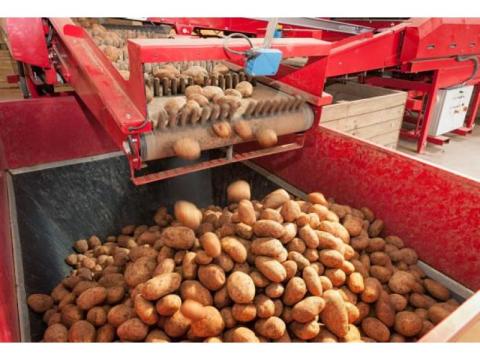 Agriculture Belt of India – Backbone of the Country’s Farming Industry