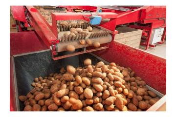 Agriculture Belt of India – Backbone of the Country’s Farming Industry