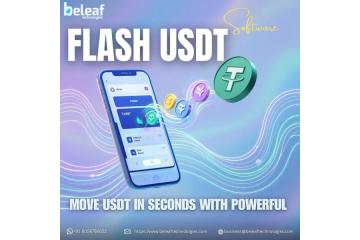 Move USDT in Seconds with Powerful Flash USDT Software