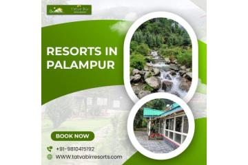 Resorts In Palampur for Scenic Mountain Stay Experience