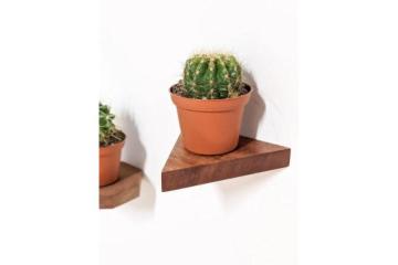 Mini Shelves for 2026's Edgiest Decor Vibes!