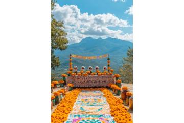 Command Regal Grace: Best Royal destination wedding Planners for You