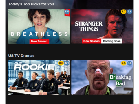 Bonetflix browser extension