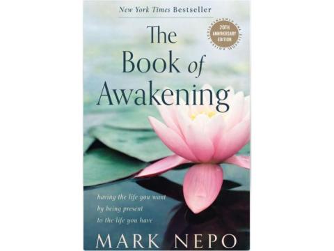 Buy Book of Awakening 20th Anniversary Edition at Magsstore