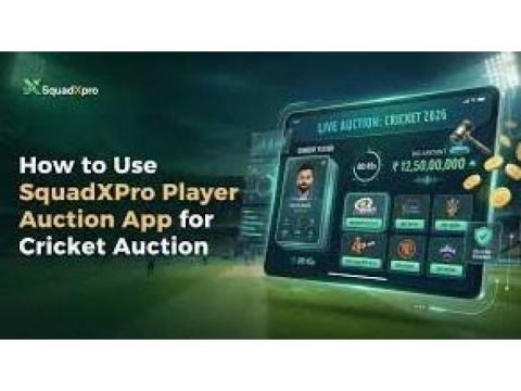 Professional Cricket Auction Software for Cricket Leagues