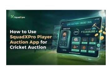 Professional Cricket Auction Software for Cricket Leagues