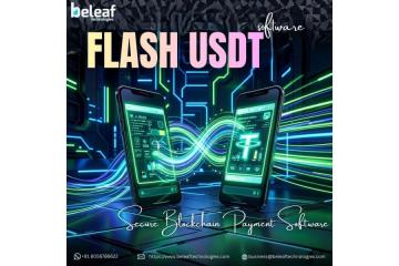 Move USDT Faster with Secure Blockchain Payment Software