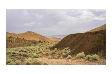 Trusted Silver Mine Waste Buyers - Mine Reclaim Alliance