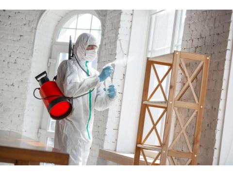 Mega Pest Control - 2/2