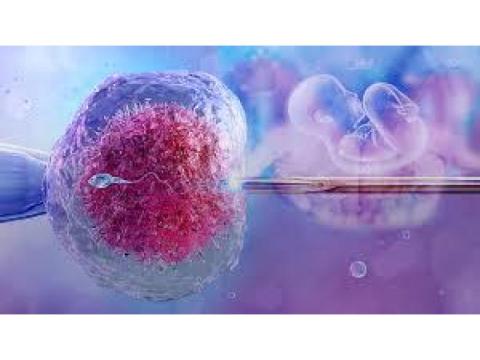 Best IVF Center in Jaipur: A Complete Guide to IVF Process & Success