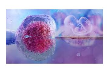 Best IVF Center in Jaipur: A Complete Guide to IVF Process & Success