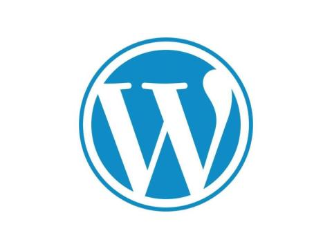 Invoidea is the Best WordPress Development Company in India Delivering Custom Web Solutions