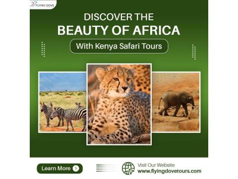 Discover the Beauty of Africa with Kenya Safari Tours