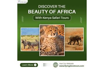 Discover the Beauty of Africa with Kenya Safari Tours