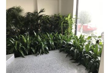 How Indoor Plant Hire In Melbourne Enhances Office and Commercial Spaces