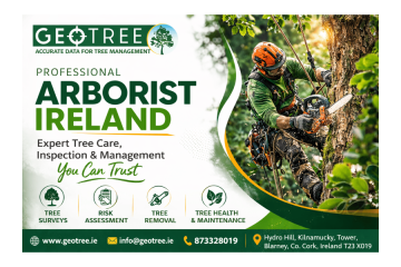 Professional Irish Forestry Services & Tree Identification Experts