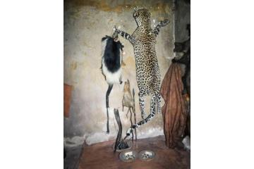 Trusted Lost Love Spells to Get Your Ex Back Proven Spiritual Power Love Spells📱+27672740459 ♈