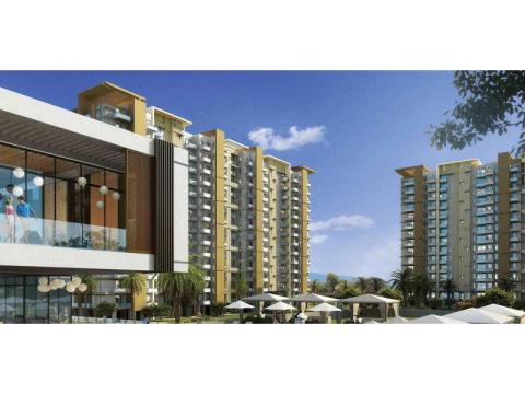 Buy Flats in Gurgaon with Naveen Associates