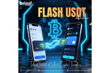 Take Control of Your Crypto Transfers with Flash USDT Technology