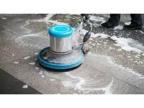 Professional Commercial Carpet Cleaning Mississauga for Spotless Workspaces