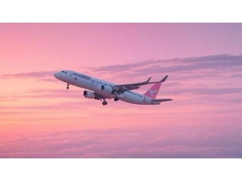 SFO Security Wait Times +1-888-738-0817