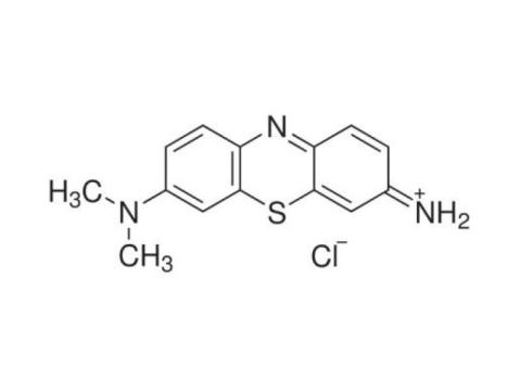 Trusted Giemsa Stain Manufacturer & Supplier | GSP Chem